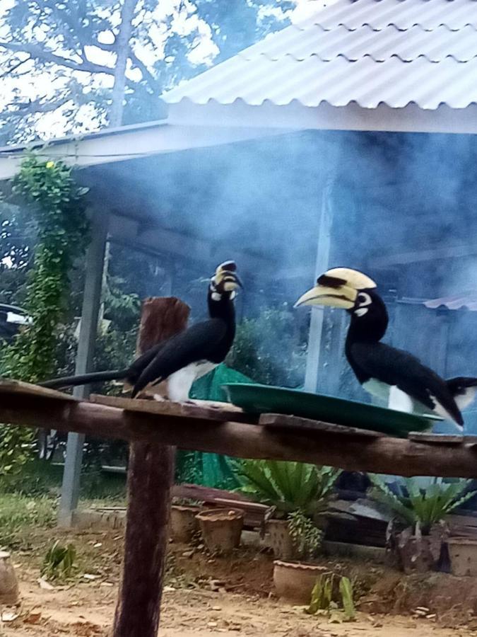 Eco Bungalow Koh Phayam Eksteriør bilde