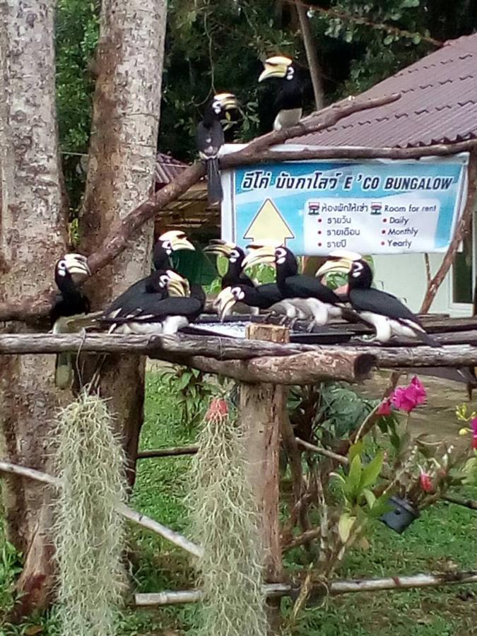 Eco Bungalow Koh Phayam Eksteriør bilde