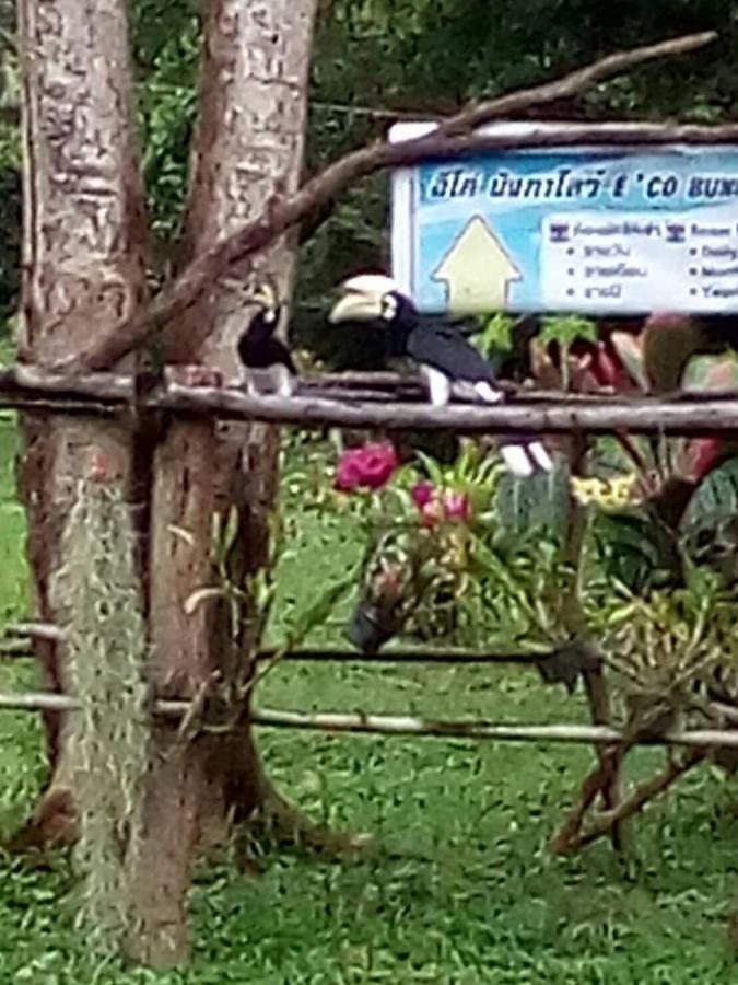 Eco Bungalow Koh Phayam Eksteriør bilde