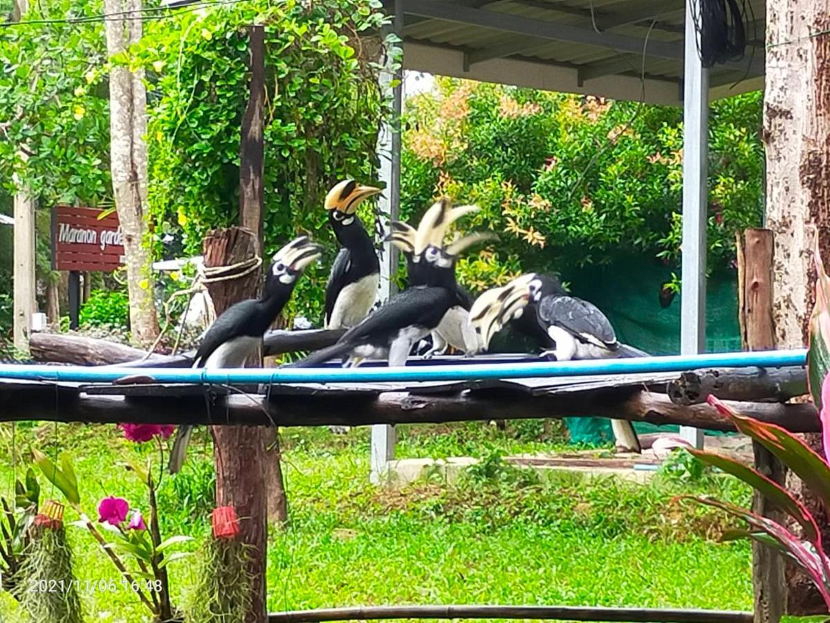 Eco Bungalow Koh Phayam Eksteriør bilde