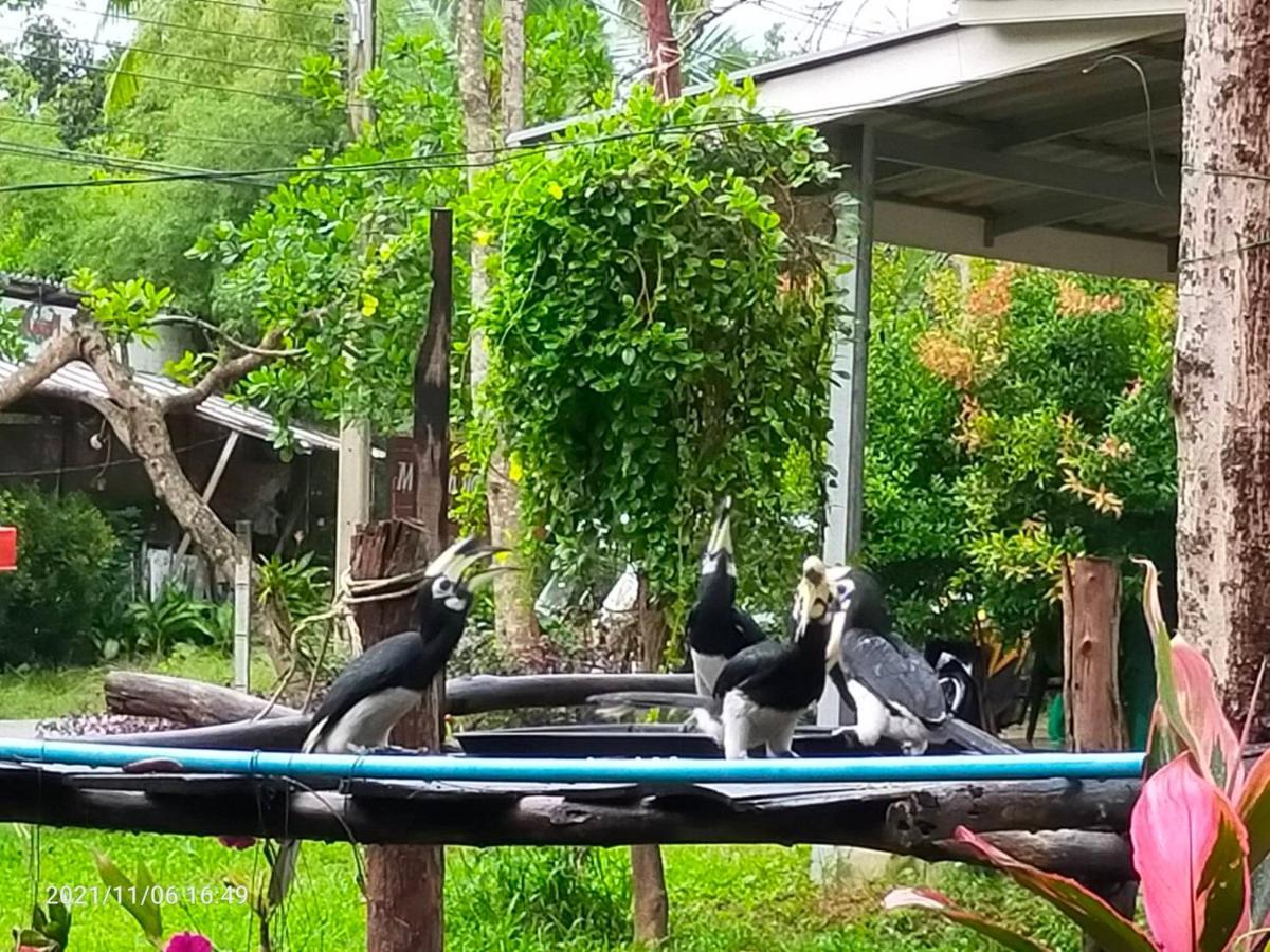 Eco Bungalow Koh Phayam Eksteriør bilde