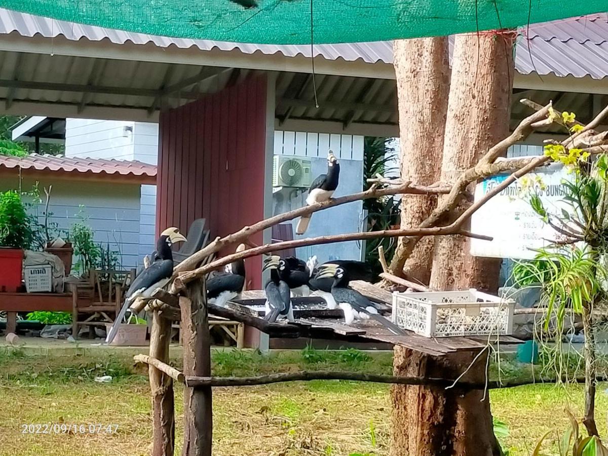 Eco Bungalow Koh Phayam Eksteriør bilde