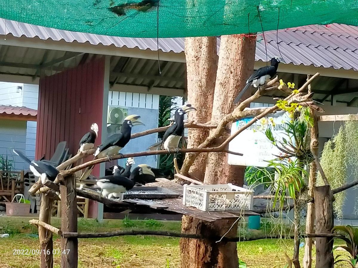 Eco Bungalow Koh Phayam Eksteriør bilde