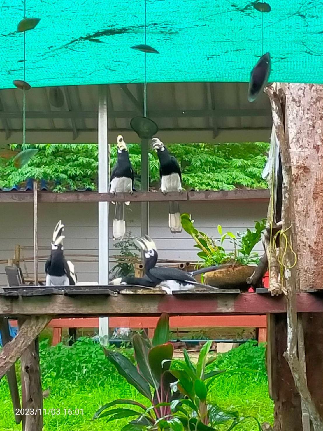 Eco Bungalow Koh Phayam Eksteriør bilde