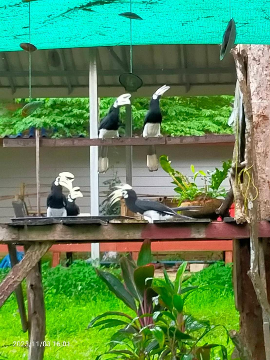 Eco Bungalow Koh Phayam Eksteriør bilde