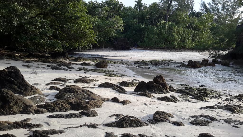 Eco Bungalow Koh Phayam Eksteriør bilde